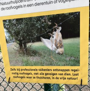 fugl som sitter fast i gjerde